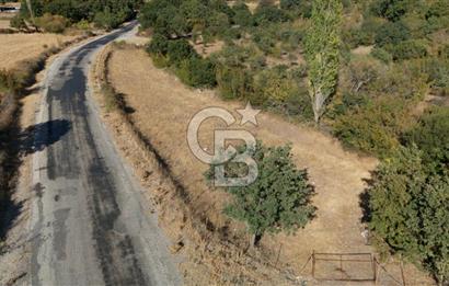 ÇANAKKALE, AYVACIK, KÜÇÜKHUSUN KÖYÜNDE ASFALTA CEPHE TARLA