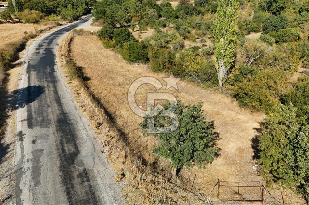 ÇANAKKALE, AYVACIK, KÜÇÜKHUSUN KÖYÜNDE ASFALTA CEPHE TARLA