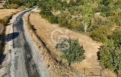 ÇANAKKALE, AYVACIK, KÜÇÜKHUSUN KÖYÜNDE ASFALTA CEPHE TARLA