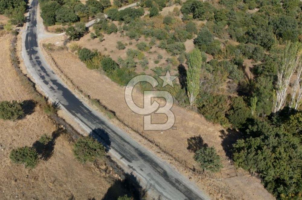 ÇANAKKALE, AYVACIK, KÜÇÜKHUSUN KÖYÜNDE ASFALTA CEPHE TARLA