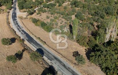 ÇANAKKALE, AYVACIK, KÜÇÜKHUSUN KÖYÜNDE ASFALTA CEPHE TARLA
