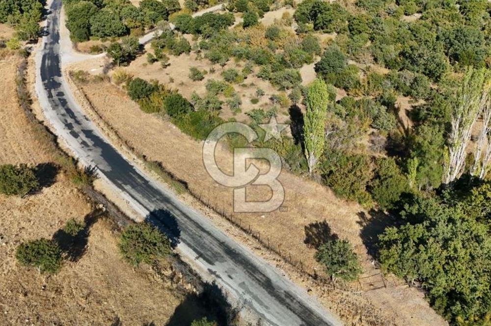 ÇANAKKALE, AYVACIK, KÜÇÜKHUSUN KÖYÜNDE ASFALTA CEPHE TARLA