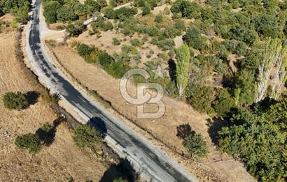 ÇANAKKALE, AYVACIK, KÜÇÜKHUSUN KÖYÜNDE ASFALTA CEPHE TARLA