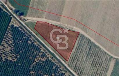 CB CLASS MUSTAFAKEMALPAŞA SANAYİ BÖLGESİ YÜKSEK GELİRLİ YATIRIM