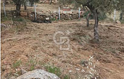 İZMİR TORBALI KARAKIZLAR ACİL SATILIK TARLA