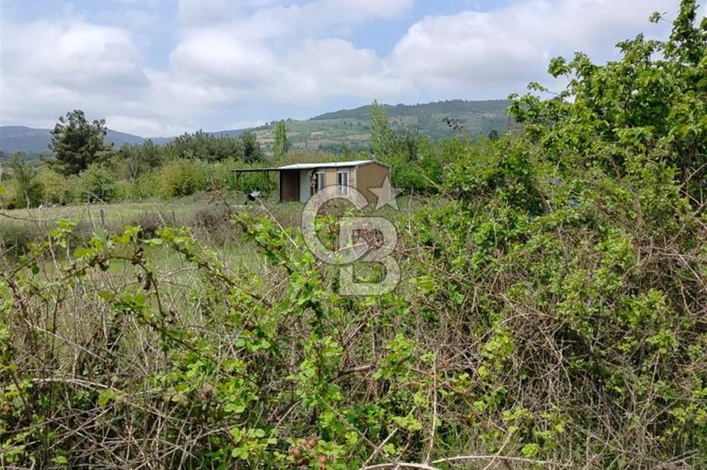 Bayramiç Tongurluda 4.064 m² Müstakil Tarla Elektrik Su Mevcut