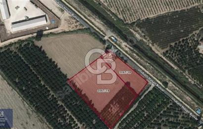 TARSUS'TA ÇEVRE YOLUNA YAKIN, ALT YAPISI HAZIR,EKİLEBİLEN ARAZİ