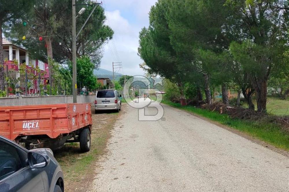 Bayramiç Tongurluda 4.064 m² Müstakil Tarla Elektrik Su Mevcut