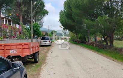 Bayramiç Tongurluda 4.064 m² Müstakil Tarla Elektrik Su Mevcut
