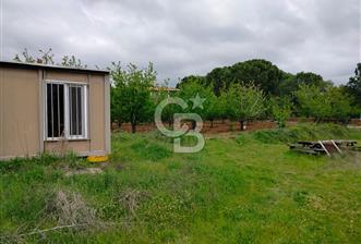 Bayramiç Tongurluda 4.064 m² Müstakil Tarla Elektrik Su Mevcut