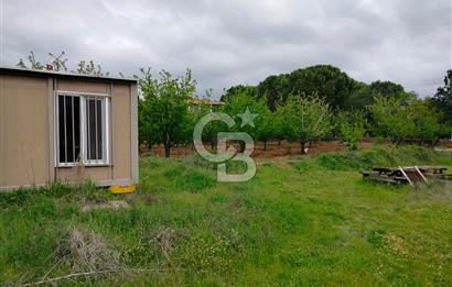 Bayramiç Tongurluda 4.064 m² Müstakil Tarla Elektrik Su Mevcut