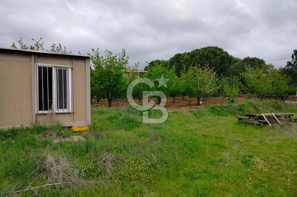 Bayramiç Tongurluda 4.064 m² Müstakil Tarla Elektrik Su Mevcut