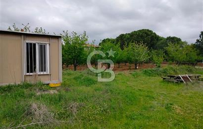 Bayramiç Tongurluda 4.064 m² Müstakil Tarla Elektrik Su Mevcut