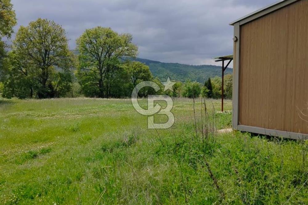 Bayramiç Tongurluda 4.064 m² Müstakil Tarla Elektrik Su Mevcut