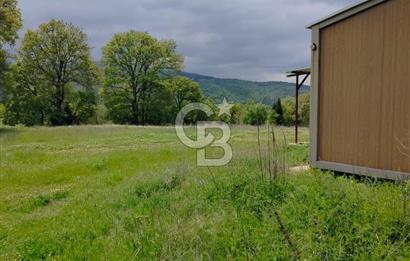 Bayramiç Tongurluda 4.064 m² Müstakil Tarla Elektrik Su Mevcut