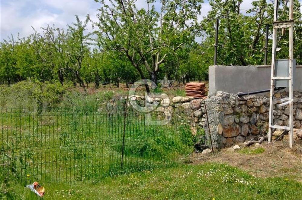 Bayramiç Tongurluda 4.064 m² Müstakil Tarla Elektrik Su Mevcut