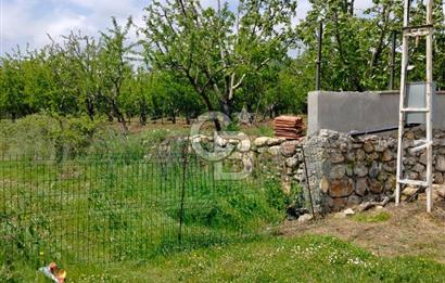 Bayramiç Tongurluda 4.064 m² Müstakil Tarla Elektrik Su Mevcut