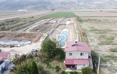 Satılık Balık Çiftliği Tesisi ve Arazisi