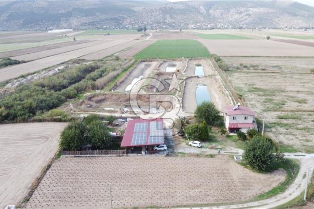 Satılık Balık Çiftliği Tesisi ve Arazisi