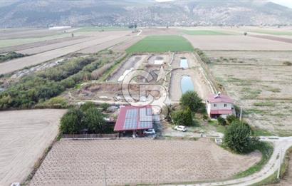 Satılık Balık Çiftliği Tesisi ve Arazisi