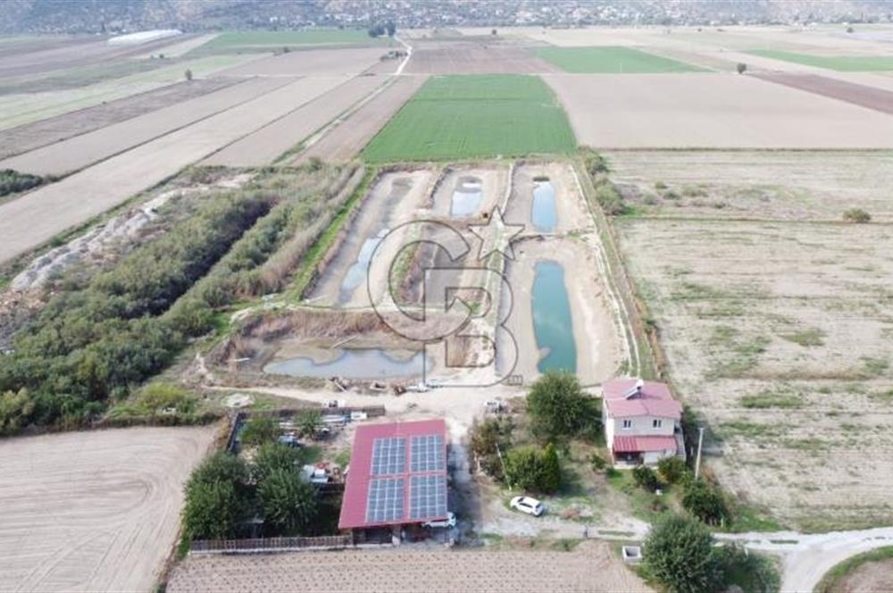 Satılık Balık Çiftliği Tesisi ve Arazisi
