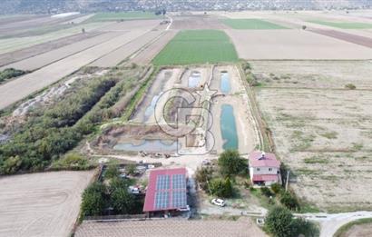 Satılık Balık Çiftliği Tesisi ve Arazisi