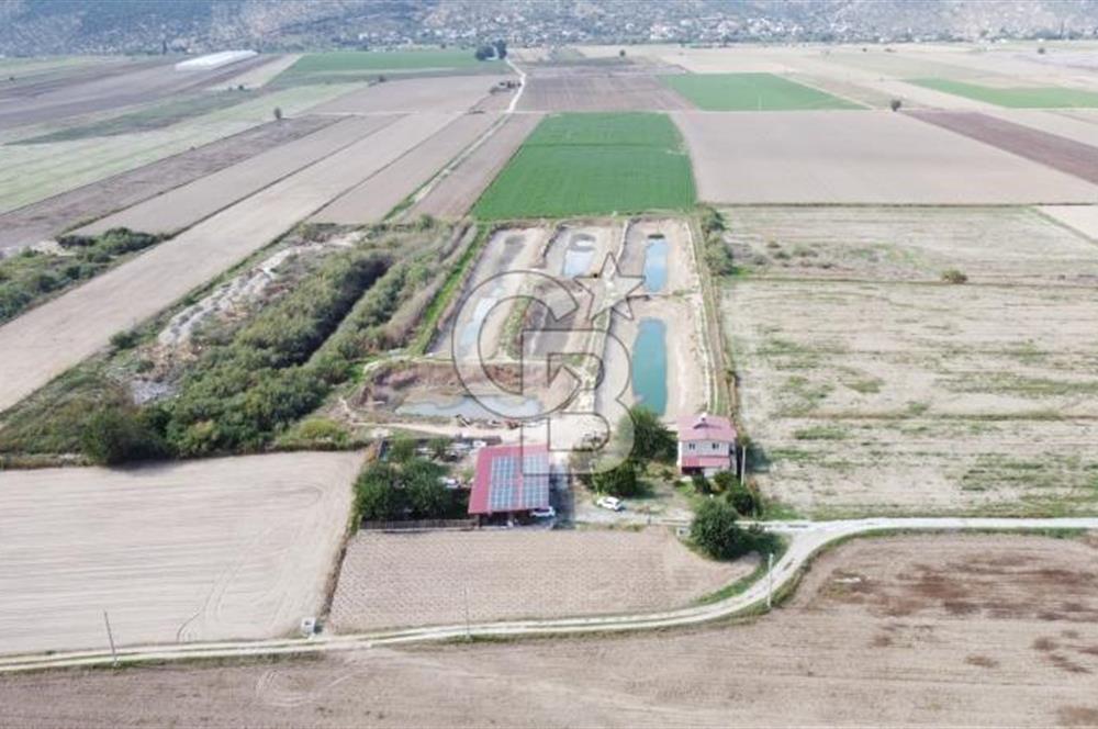 Satılık Balık Çiftliği Tesisi ve Arazisi