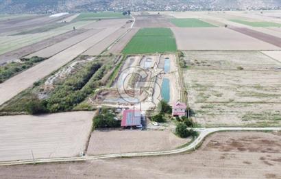 Satılık Balık Çiftliği Tesisi ve Arazisi