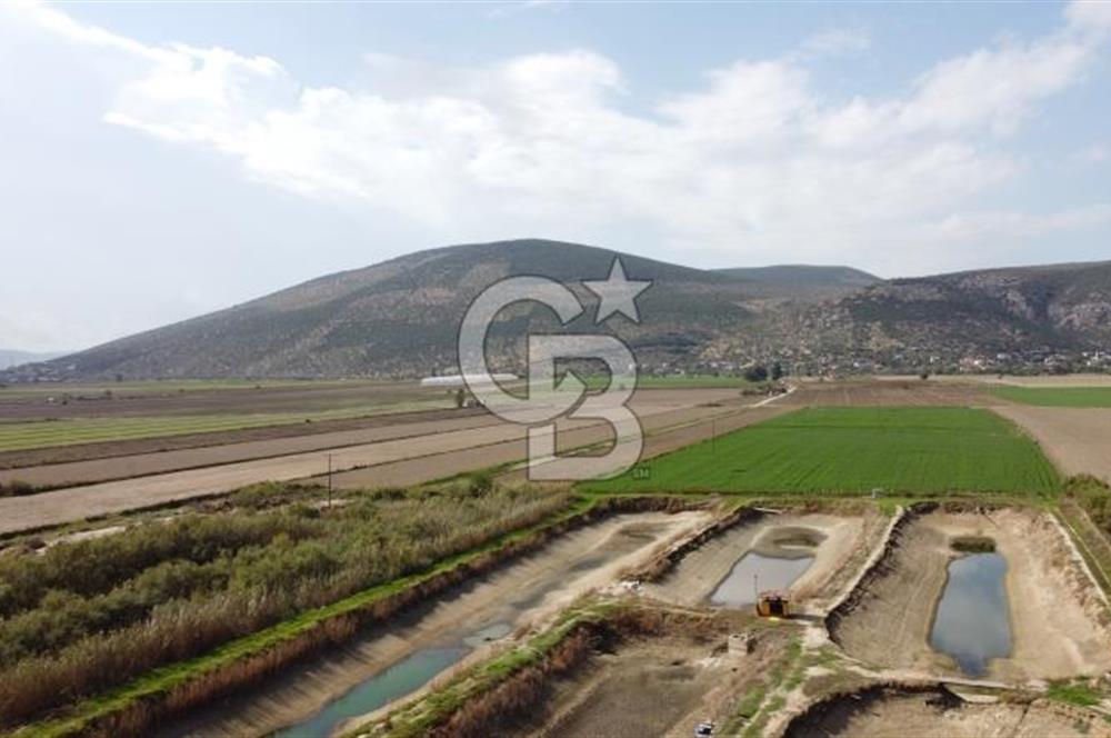 Satılık Balık Çiftliği Tesisi ve Arazisi