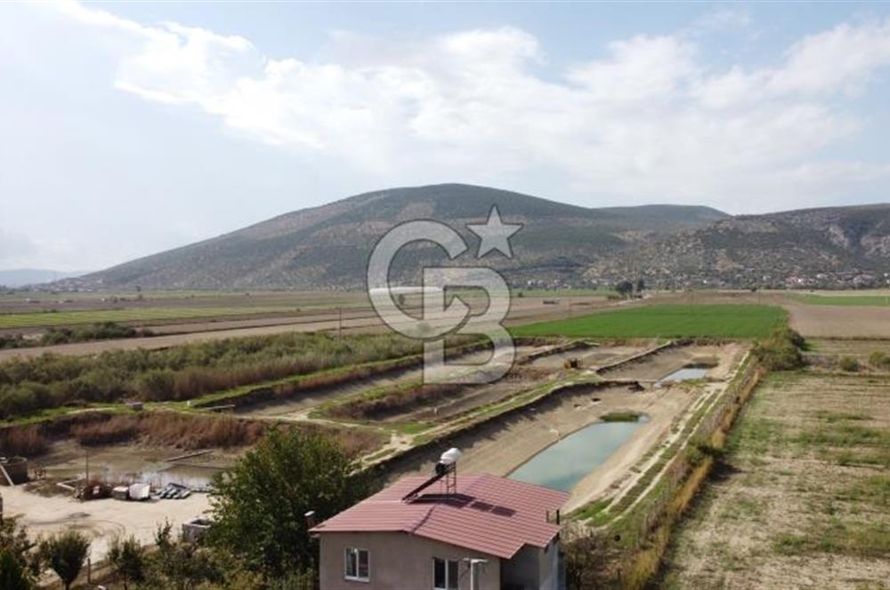 Satılık Balık Çiftliği Tesisi ve Arazisi