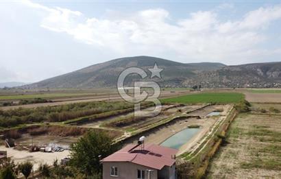 Satılık Balık Çiftliği Tesisi ve Arazisi