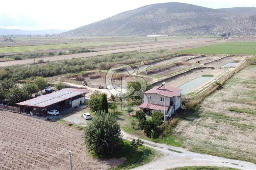 Satılık Balık Çiftliği Tesisi ve Arazisi