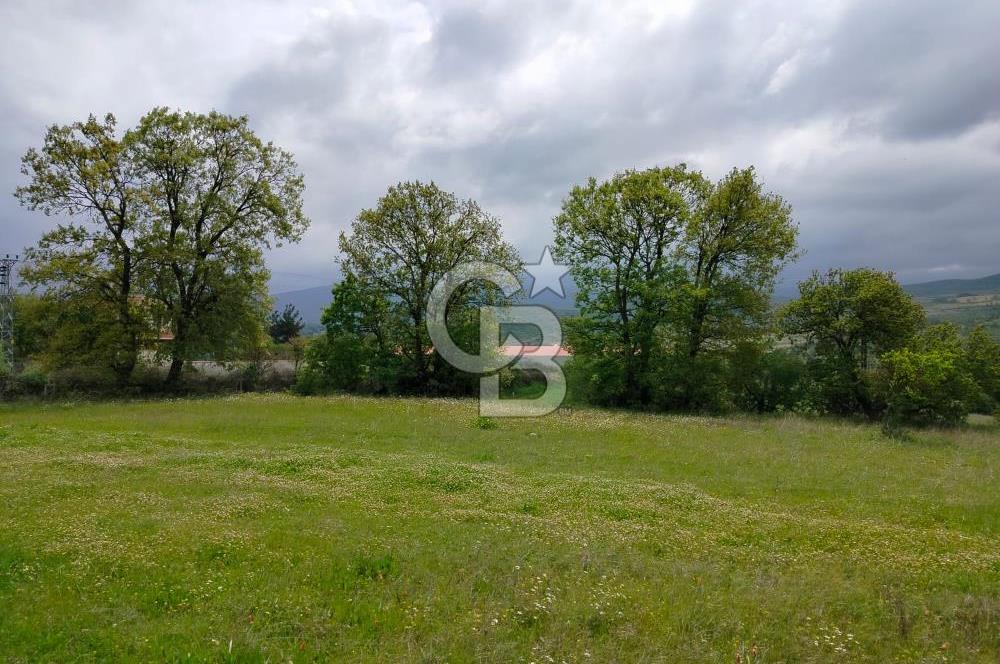 Bayramiç Tongurluda 4.064 m² Müstakil Tarla Elektrik Su Mevcut