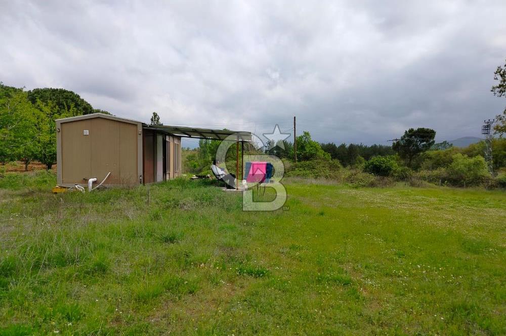 Bayramiç Tongurluda 4.064 m² Müstakil Tarla Elektrik Su Mevcut