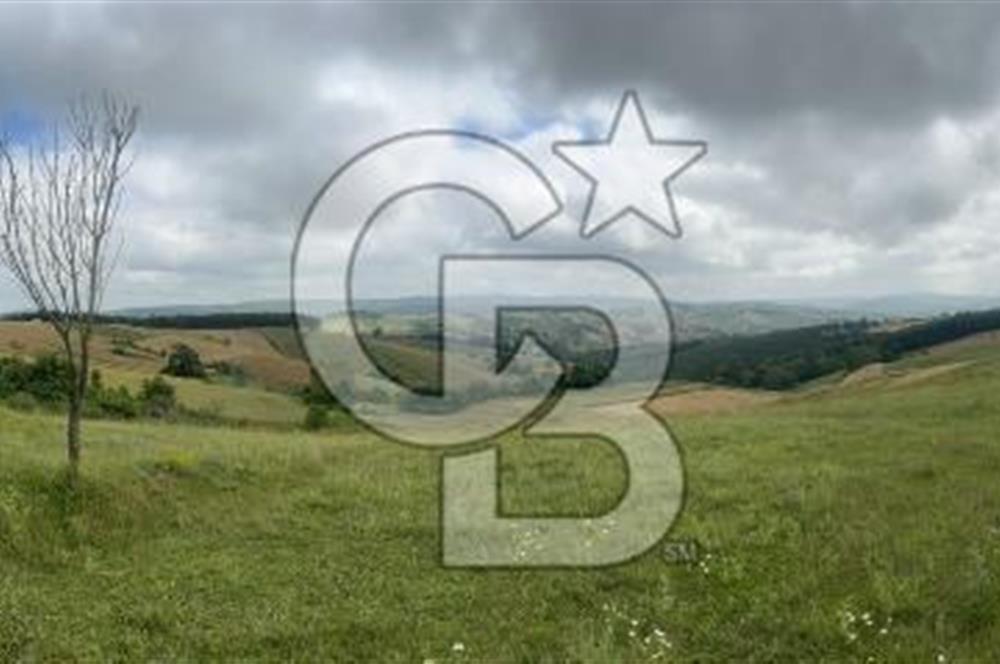 KOCAELİ İZMİT KAYNARCA KÖYÜ SATILIK YATIRIMLIK 2.657 m2 ARAZİ