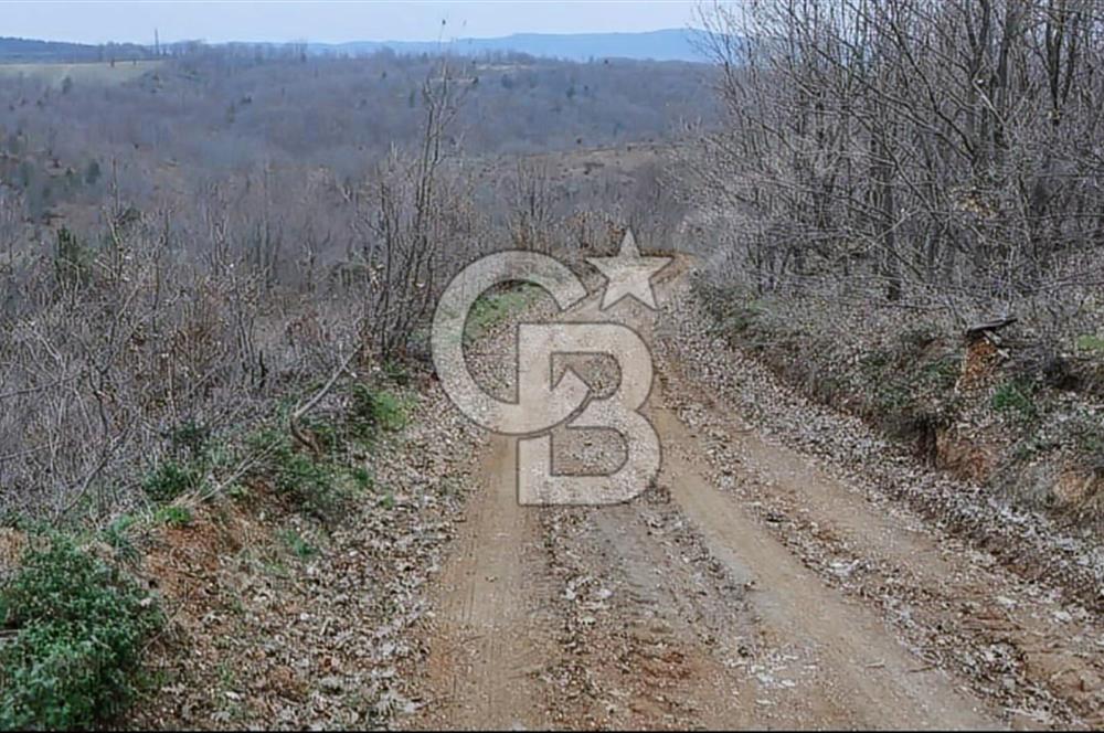 ÇANAKKALE/ÇAN'DA "36.000M2"ARAZİ FIRSAT FİYATA...