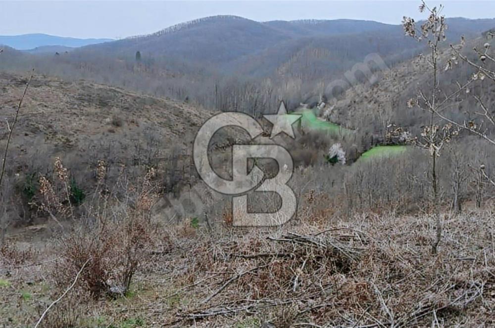 ÇANAKKALE/ÇAN'DA "36.000M2"ARAZİ FIRSAT FİYATA...