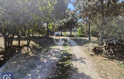 ÇANAKKALE/BİGA KAHVETEPE'DE 494M² SÜPER ARSA.