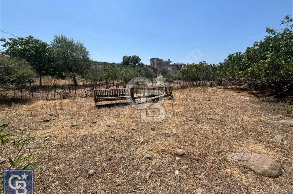ÇANAKKALE'NİN İNCİSİ AYVACIK BALABANLIDA SATILIK ARSA