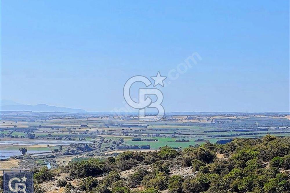ÇANAKKALE EZİNEDE KAÇIRILMAYACAK ZEYTİNLİK FIRSATI