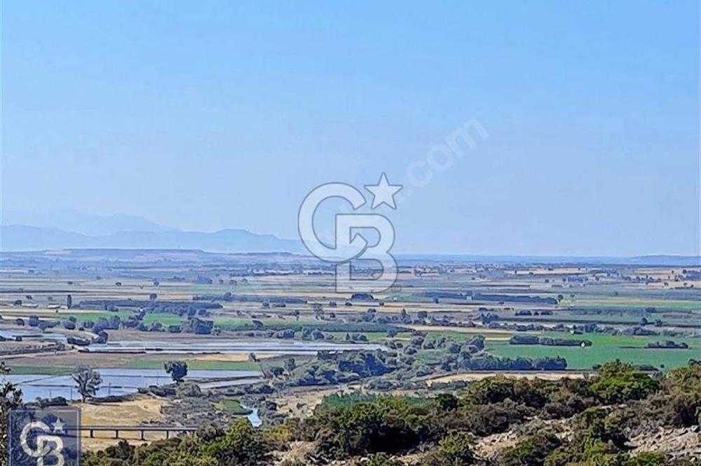 ÇANAKKALE EZİNEDE KAÇIRILMAYACAK ZEYTİNLİK FIRSATI