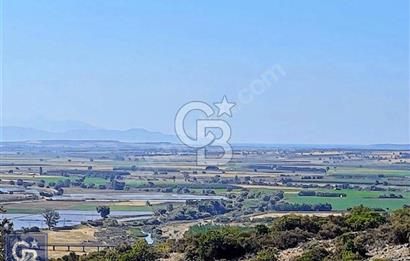ÇANAKKALE EZİNEDE KAÇIRILMAYACAK ZEYTİNLİK FIRSATI