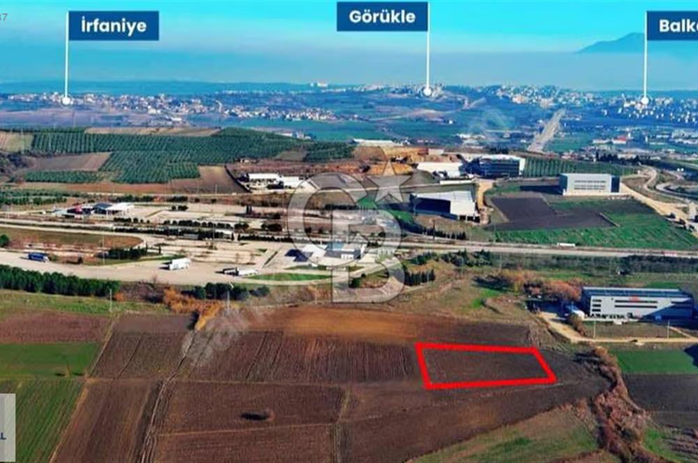 CB BLACK'TEN BÜYÜKBALIKLI'DA SANAYİ YANINDA FIRSAT TARLA
