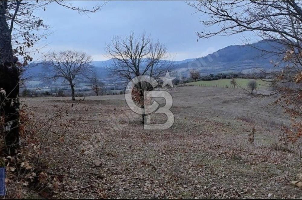 TERMAL OTELE 10DK KÖYÜN DİBİNDE,ÇAN/CİCİKLER'DE"14.413m2" ARAZİ.