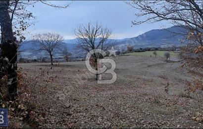 TERMAL OTELE 10DK KÖYÜN DİBİNDE,ÇAN/CİCİKLER'DE"14.413m2" ARAZİ.