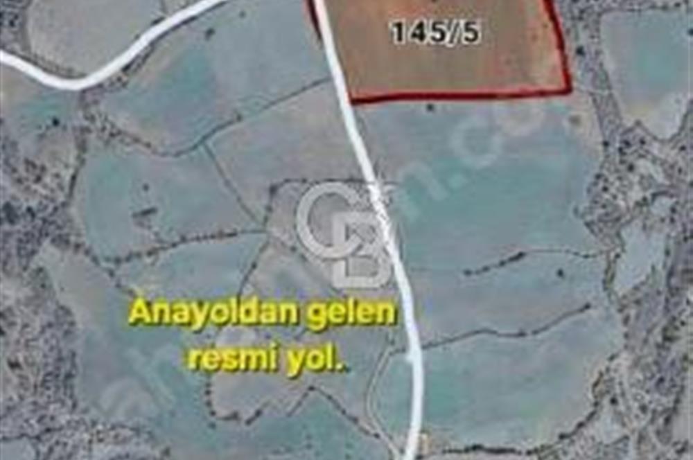 LAPSEKİ KÖPRÜ GÜZERGAHI"DONDURMA KÖYÜ'NDE"25 DÖNÜM SÜPER ARAZİ.