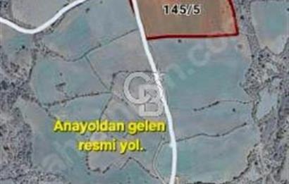 LAPSEKİ KÖPRÜ GÜZERGAHI"DONDURMA KÖYÜ'NDE"25 DÖNÜM SÜPER ARAZİ.