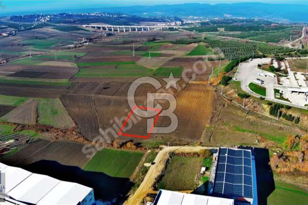 CB BLACK'TEN BÜYÜKBALIKLI'DA SANAYİ YANINDA FIRSAT TARLA