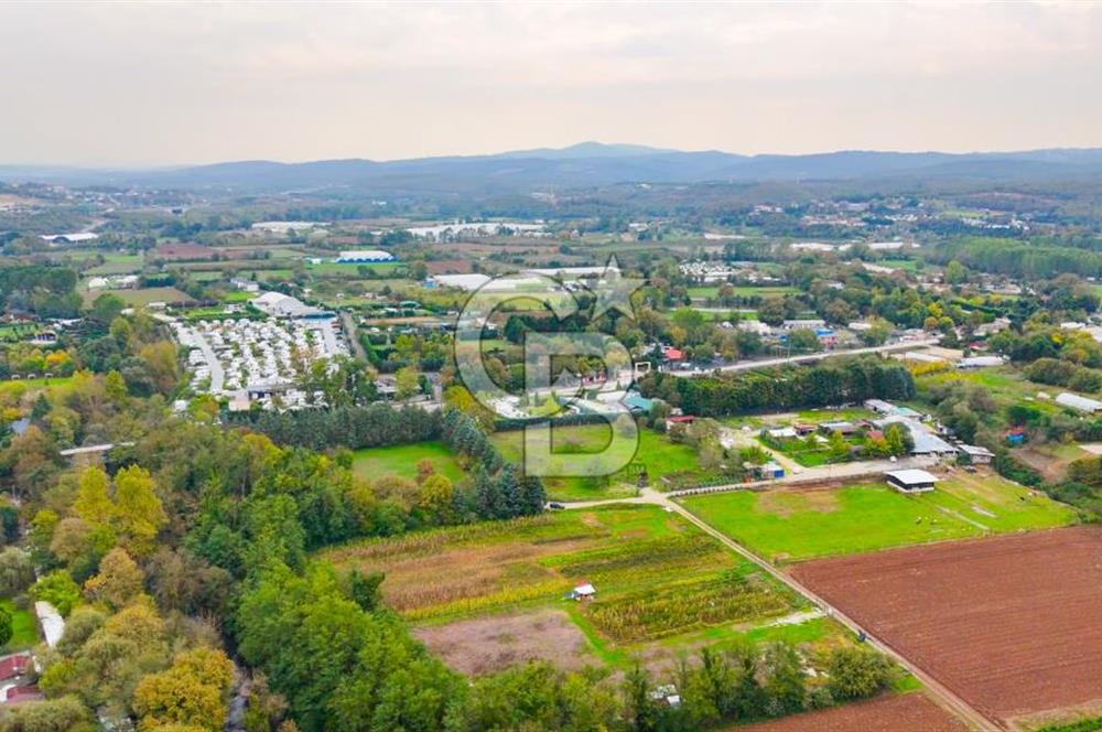 Beykoz Cumhuriyet'te Satılık 6272 m2 Resmi Yol Cepheli Arazi