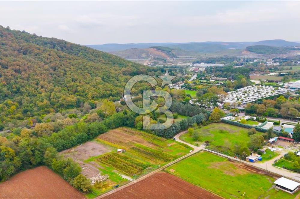 Beykoz Cumhuriyet'te Satılık 6272 m2 Resmi Yol Cepheli Arazi